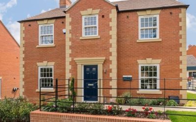 Persimmon Testimonial